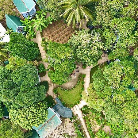 Homestay De La Rosa - Con Dao Chi Khu Co Ong ภายนอก รูปภาพ