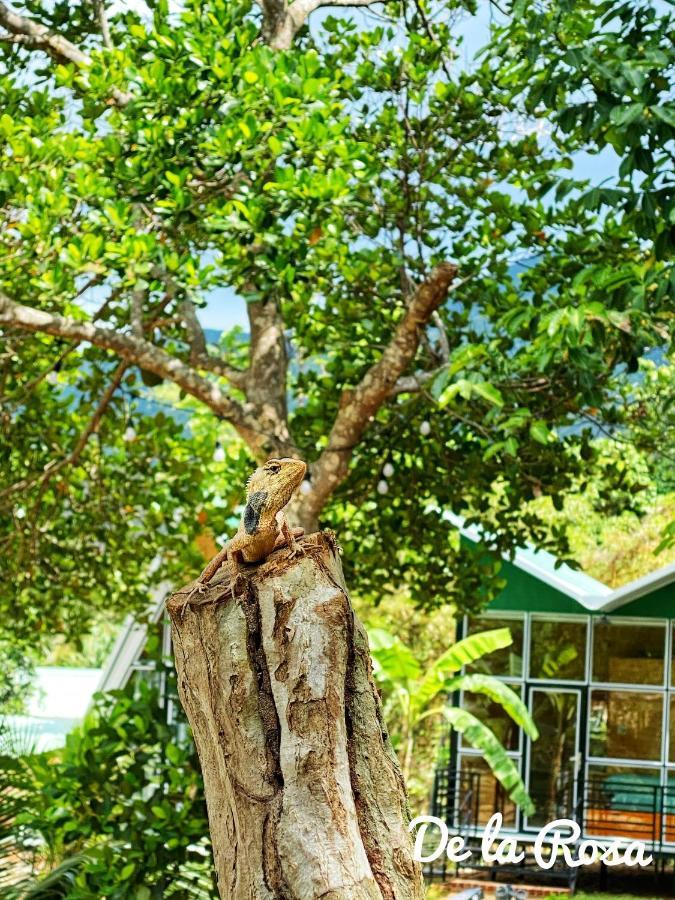 Homestay De La Rosa - Con Dao Chi Khu Co Ong ภายนอก รูปภาพ