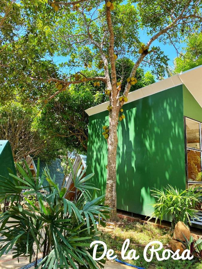Homestay De La Rosa - Con Dao Chi Khu Co Ong ภายนอก รูปภาพ